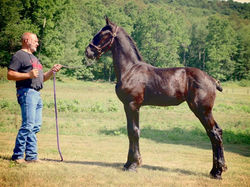 Windermere's Scotland