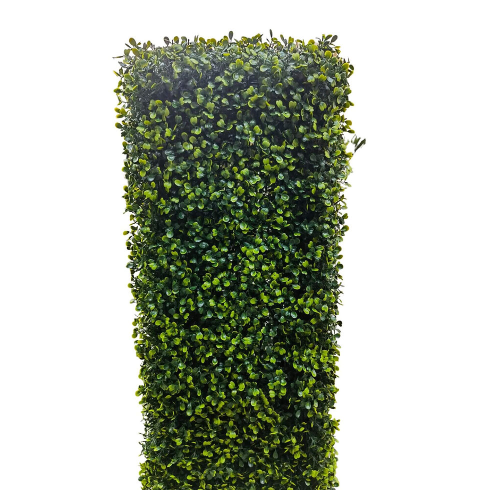 Miniature : Portable Light Boxwood Hedge 1m X 1m - UVTEX Certified UV Resistant