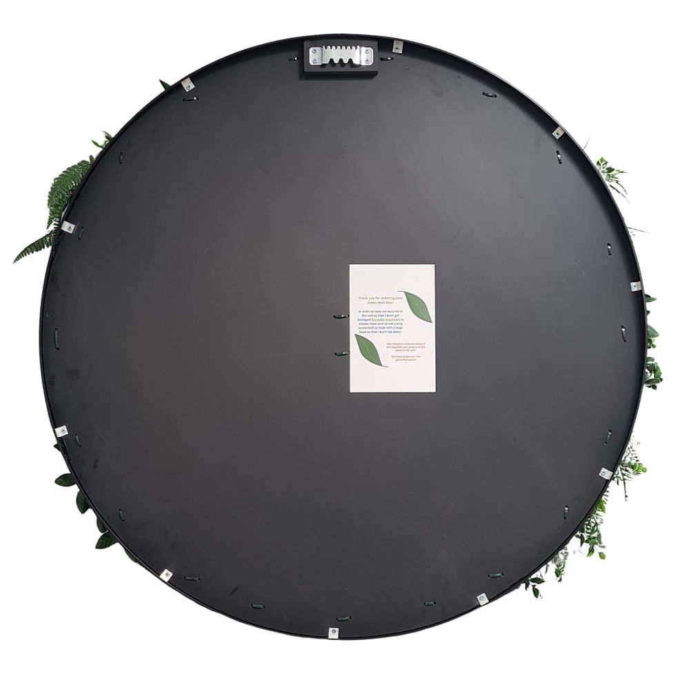 Miniatura: Slimline Artificial Green Wall Disc Art, 60cm Country Fern UV Resistant (White)
