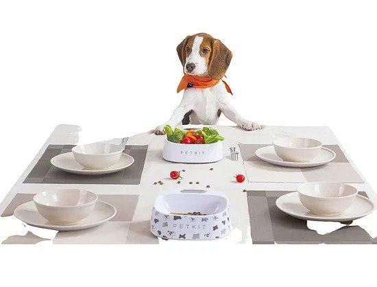 الصورة المصغرة: Instachew PETKIT Fresh Bowl, Built-In Scale