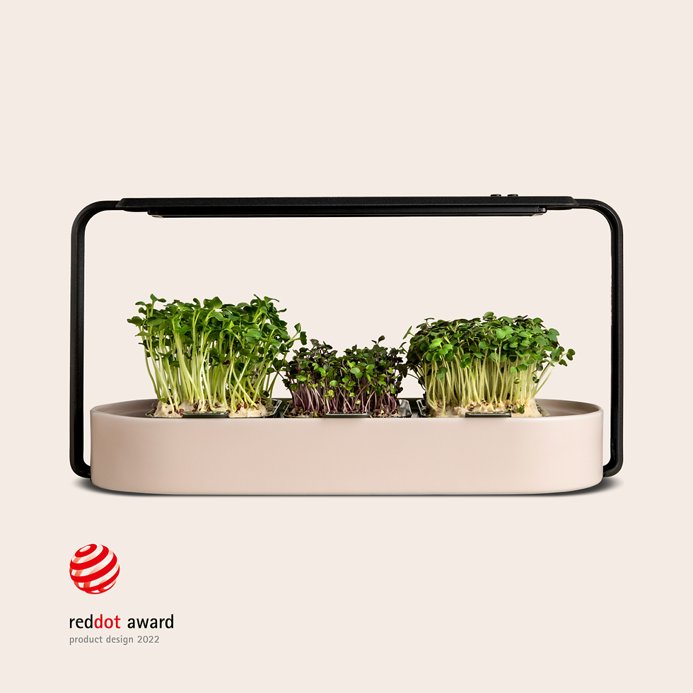 Thumbnail: Ingarden: The Key to a Healthy Life