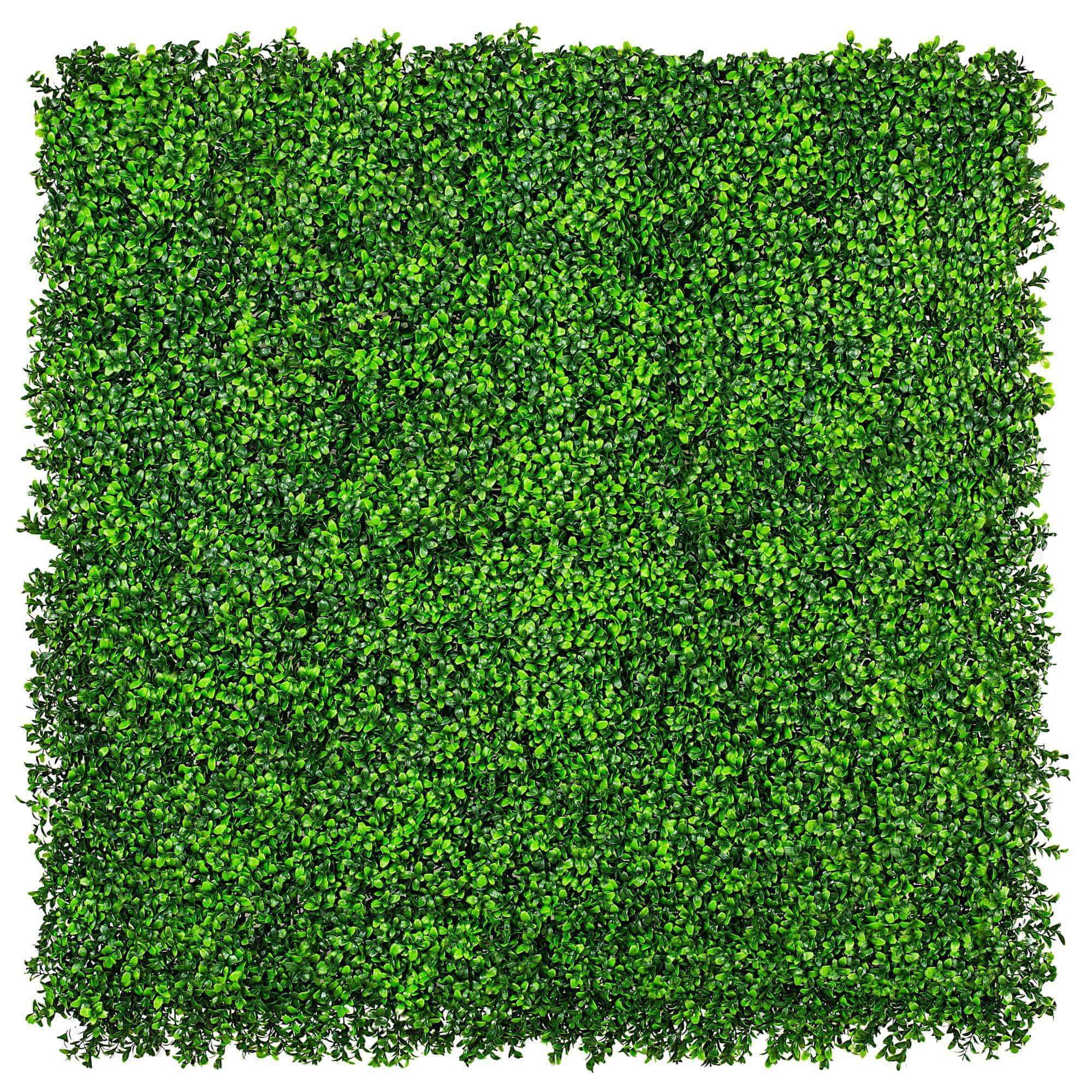 Dense Buxus Artificial Hedge Tile / Fake Vertical Garden 1m X 1m UV Resistant