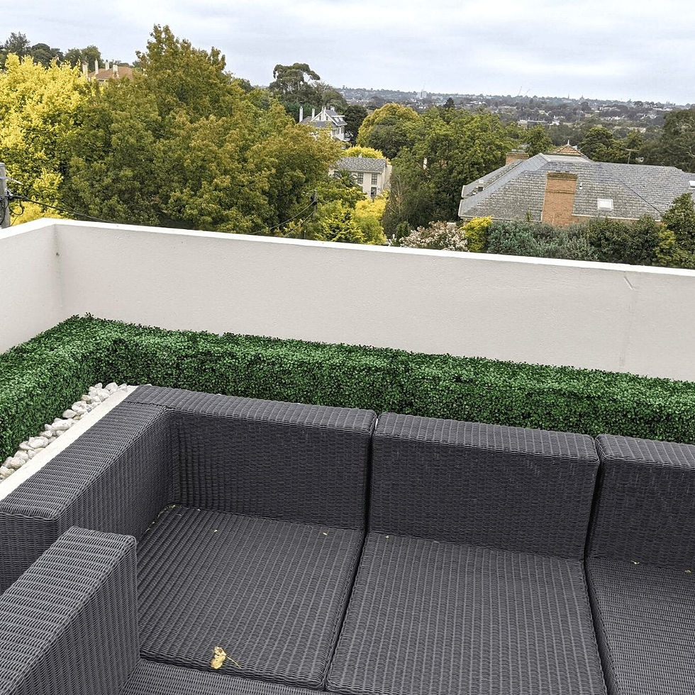 الصورة المصغرة: Portable Artificial Boxwood Hedge UV Resistant 25cm High 100cm Long