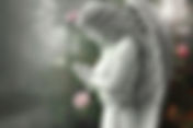 Angel Program 1