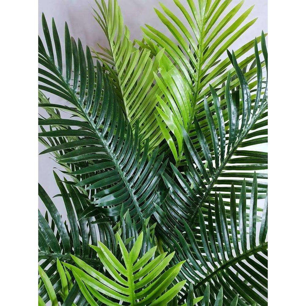 Thumbnail: Artificial Hawaii Palm With Multiple Trunk & Long Leaves, 180cm