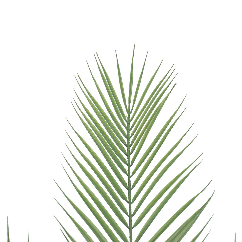 थंबनेल: Artificial Eco Phoenix Palm Plant, 80cm