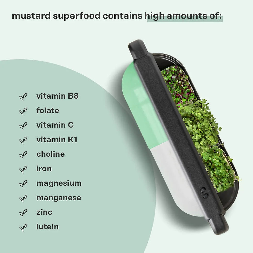 Thumbnail: Superfood Mix: Boost your health