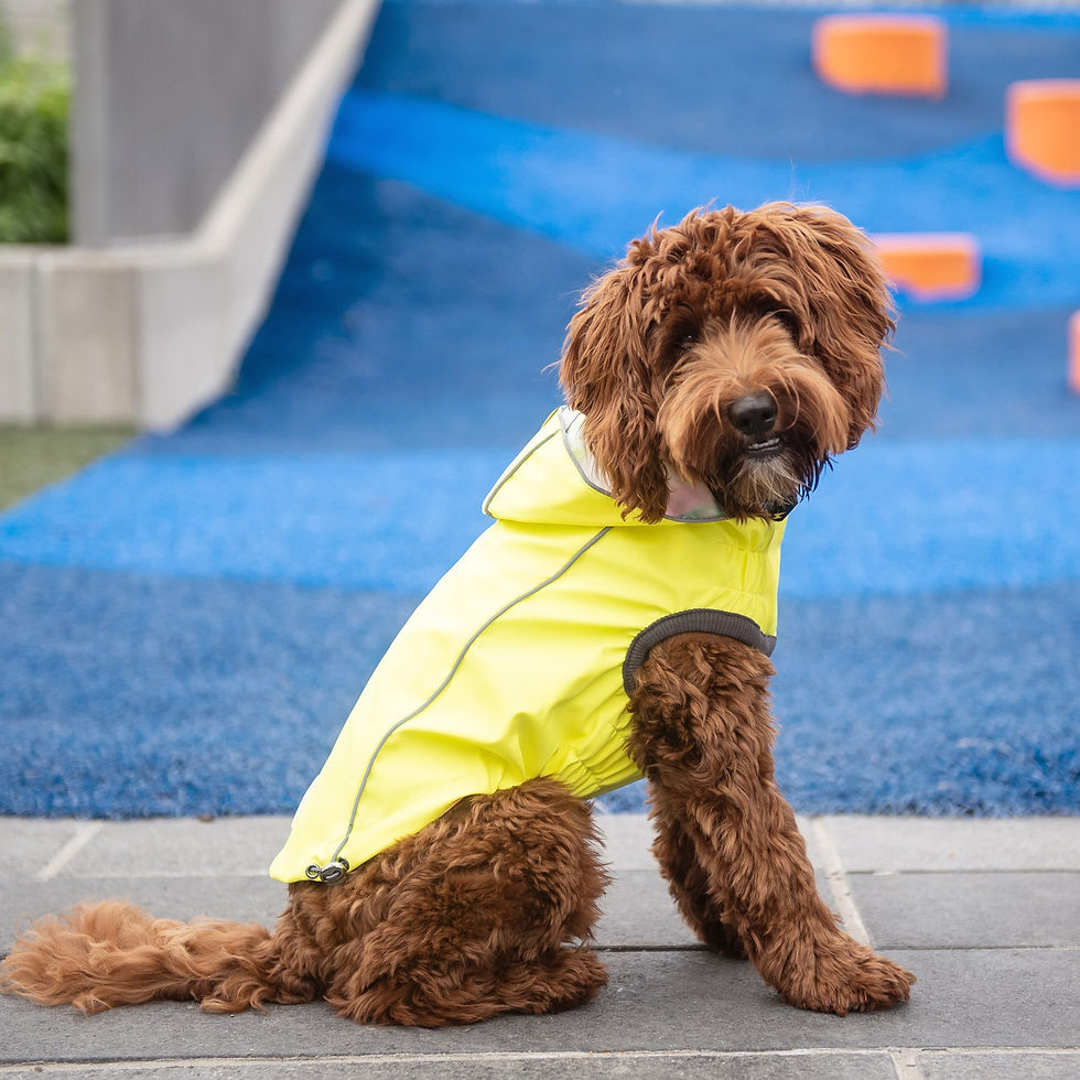 Miniatura: Reversible Raincoat - Neon Yellow With Tie Dye