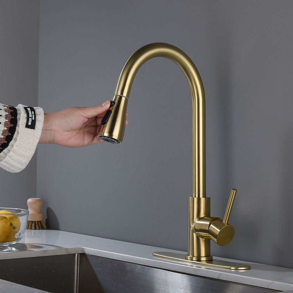 الصورة المصغرة: Kitchen Faucet with Pull Out Spraye