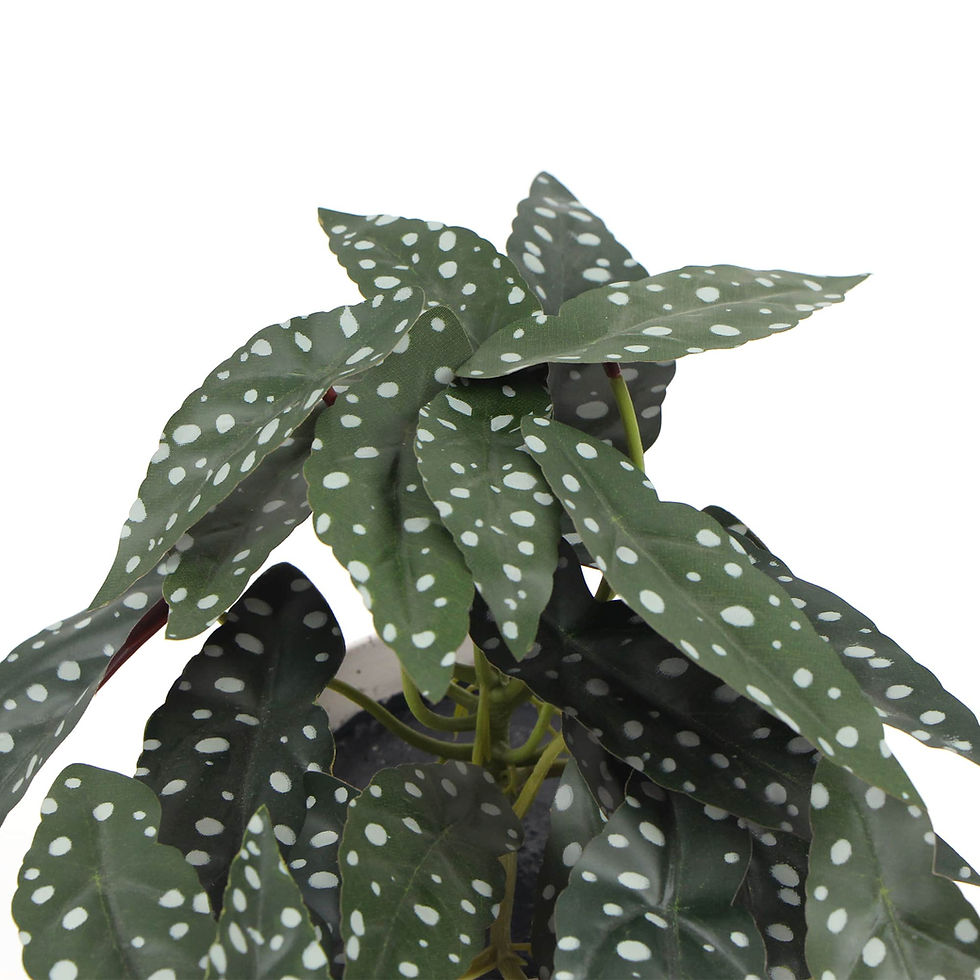 Thumbnail: Artificial Begonia Plant in Decorative Bowl 30cm