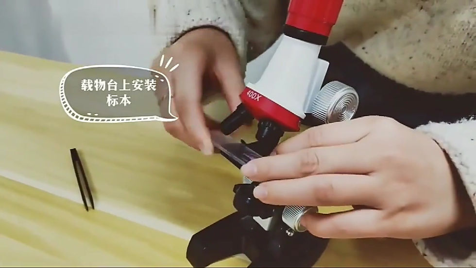 Thumbnail: MicroSTEAM Science Microscope Kit for Kids (Customizable)