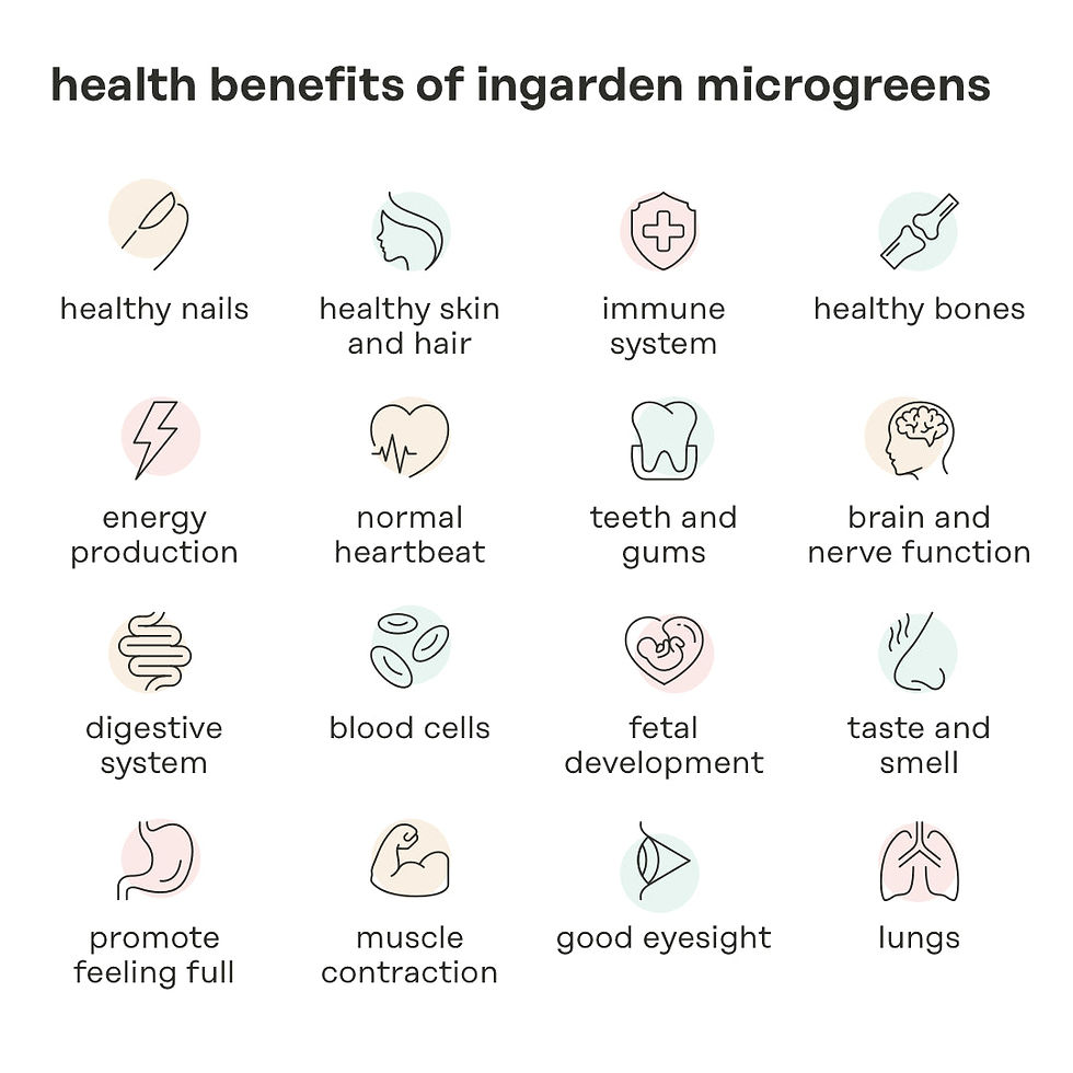 Thumbnail: Ingarden: The Key to a Healthy Life