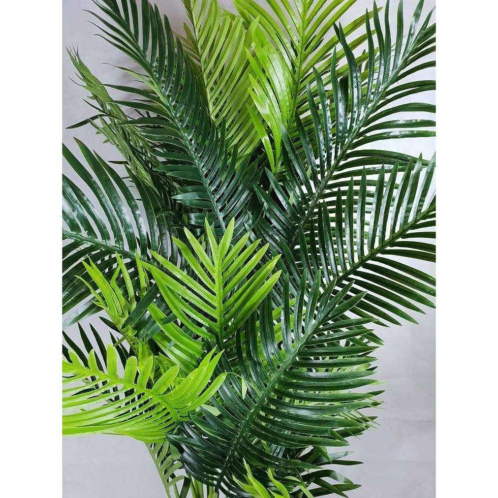 Thumbnail: Artificial Hawaii Palm With Multiple Trunk & Long Leaves, 180cm