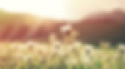 3 Things You Need to Stop Doing to Live a Simpler Life
