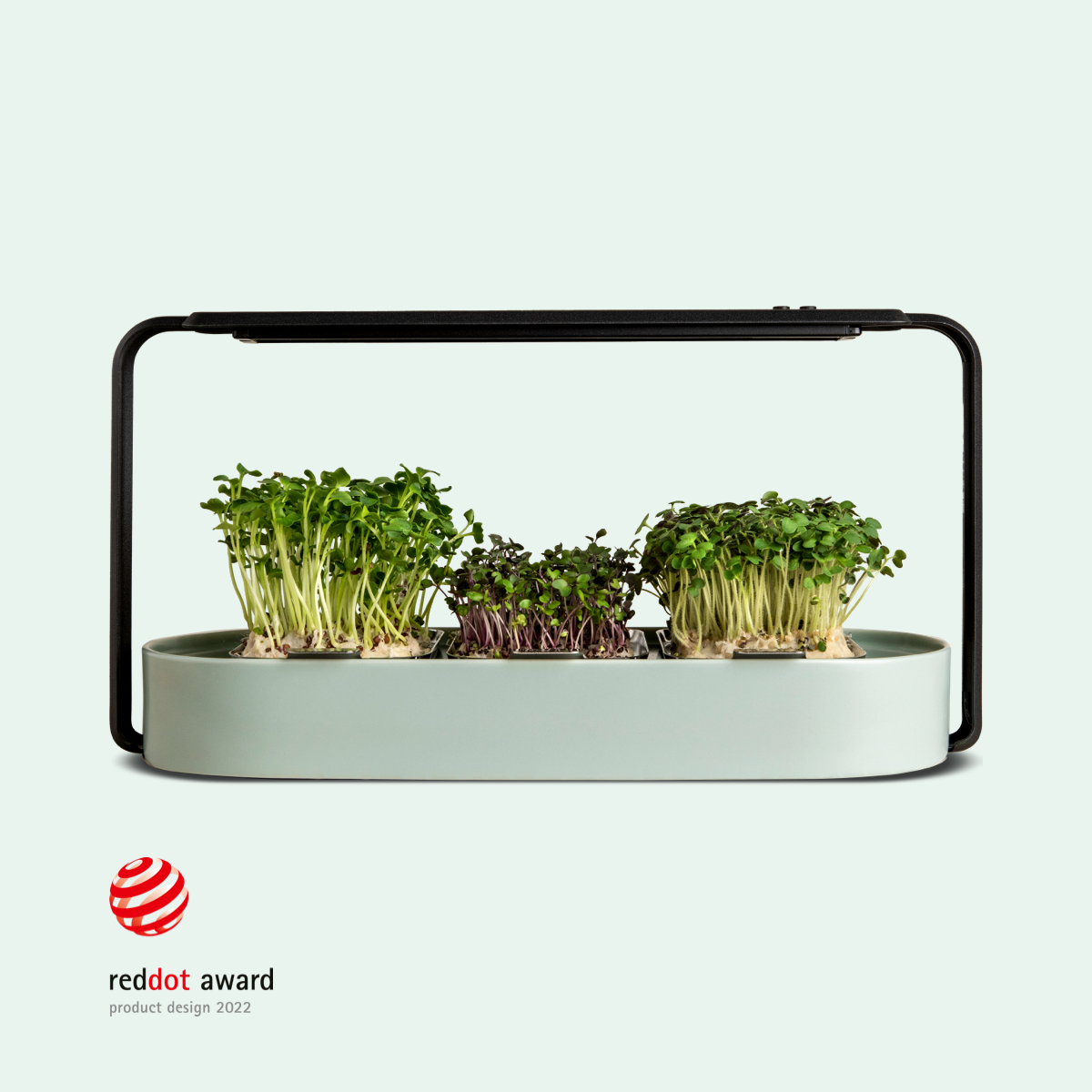 Ingarden: The Key to a Healthy Life