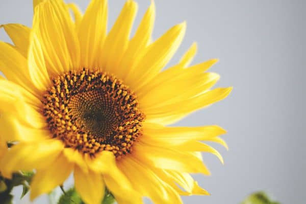21 Small Ways to Make Life Simpler
