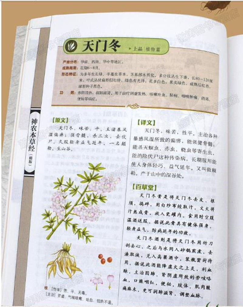 Thumbnail: 神农本草经 Sheng Nong's herbal classic traditional Chinese Medicine book in Chinese