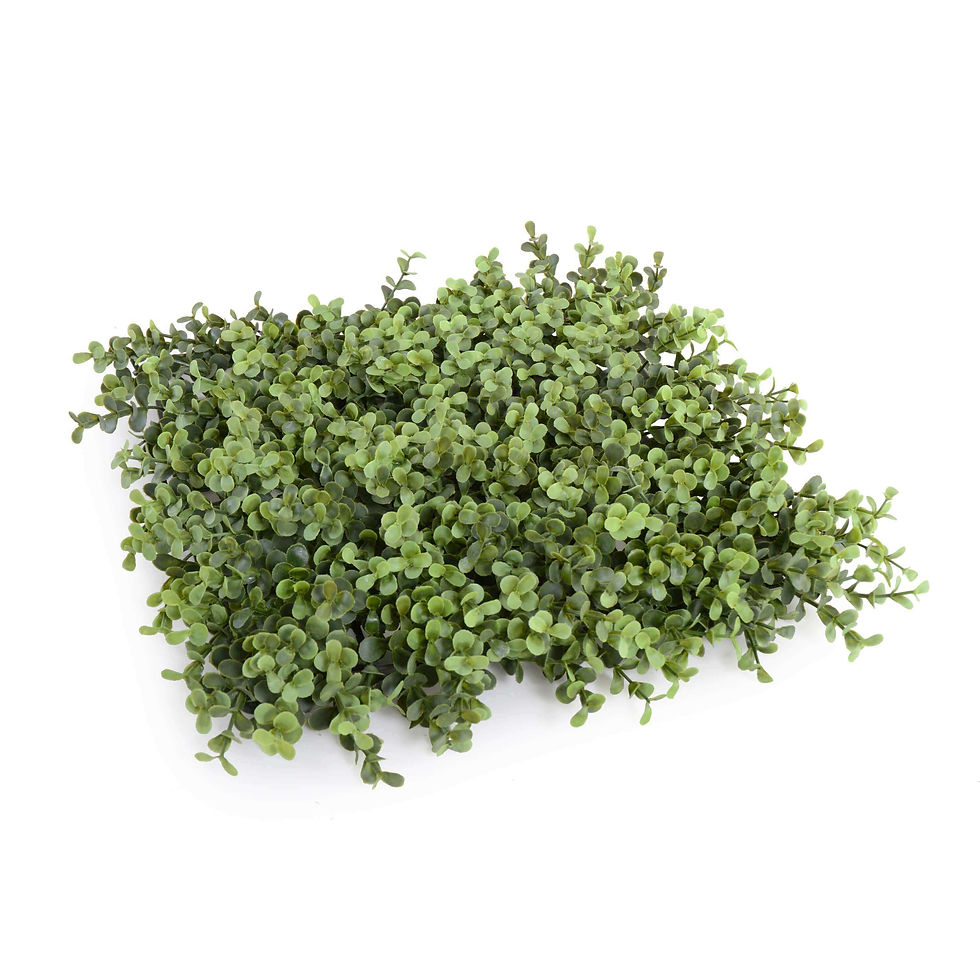 Thumbnail: Portable Premium Buxus Artificial Hedge, UV Stabilised (2m X 1m)