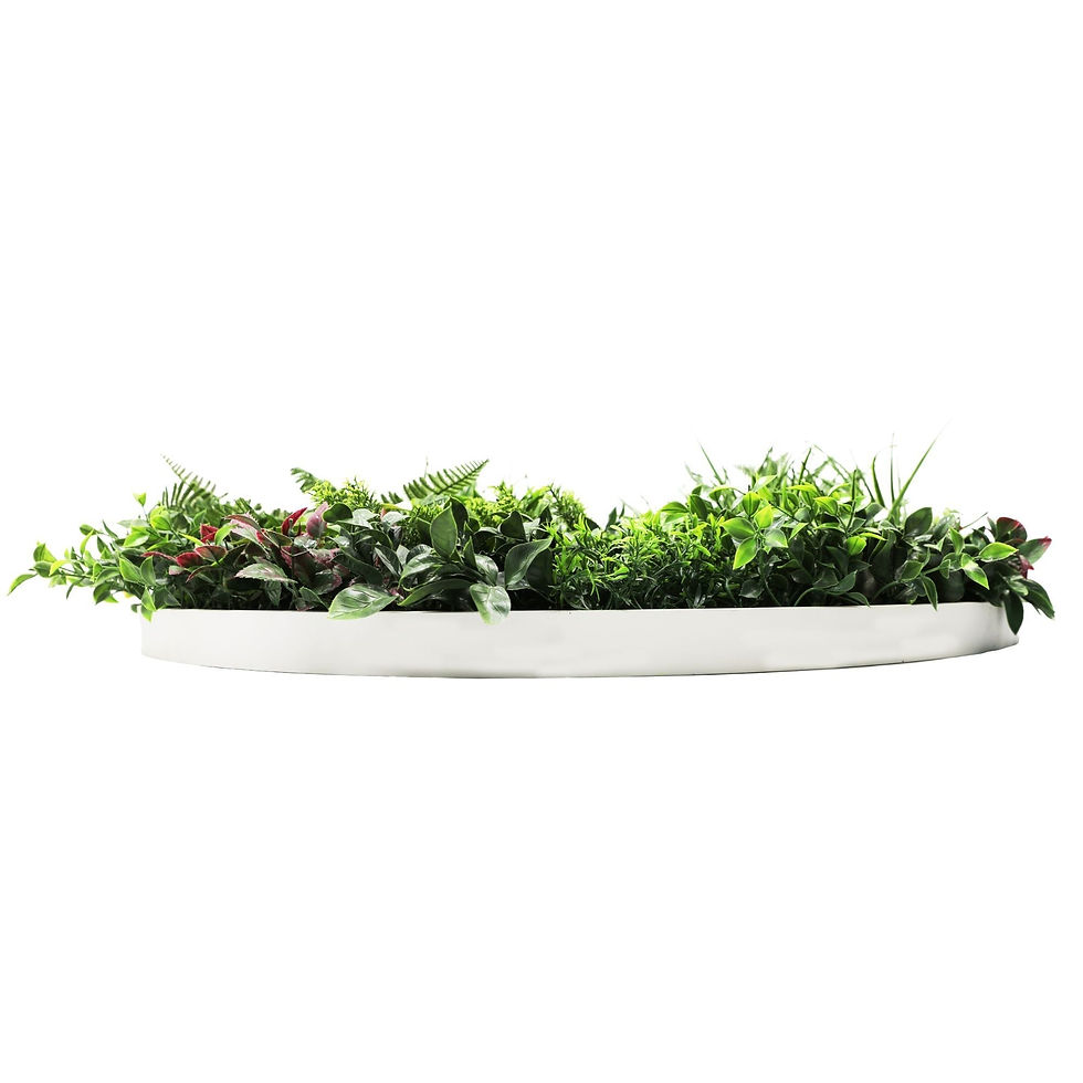 Miniature : Slimline Artificial Green Wall Disc Art 100cm Country Fern UV Resistant (White)