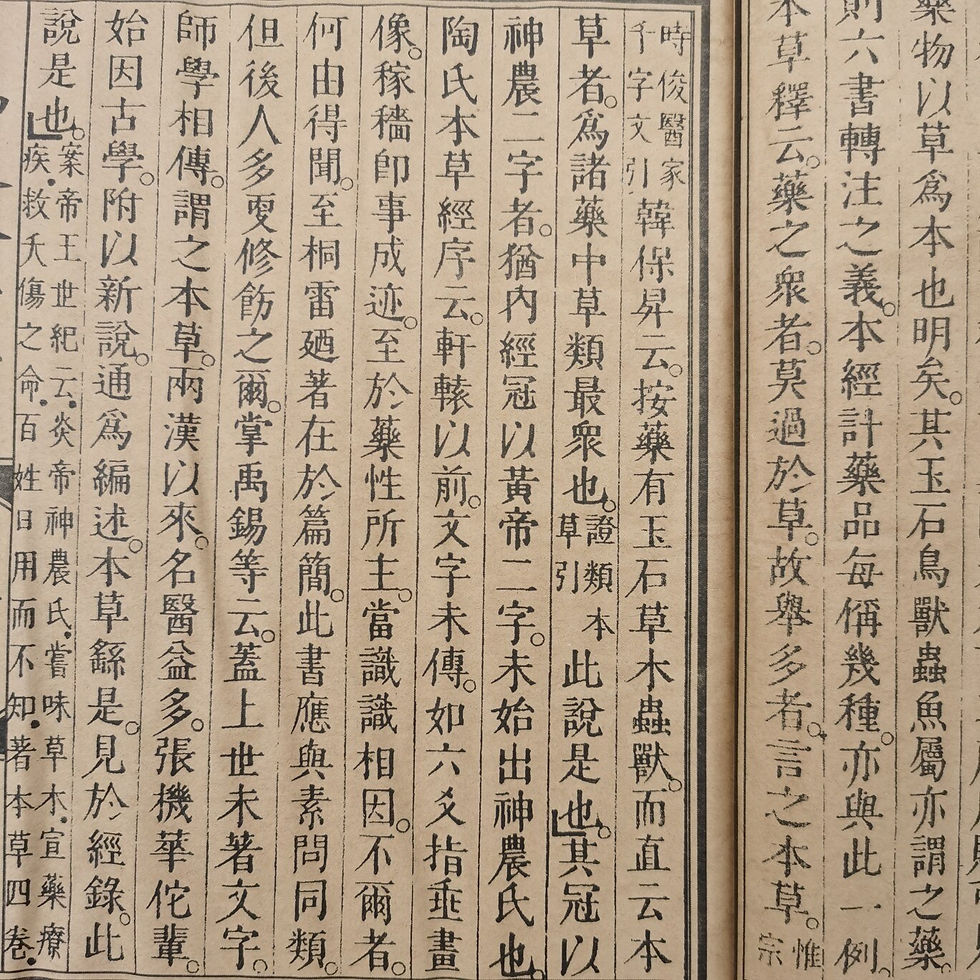 Thumbnail: “Shennong Materia Medica ” China Can Collect Old Medical Book 1 Set 4 Books