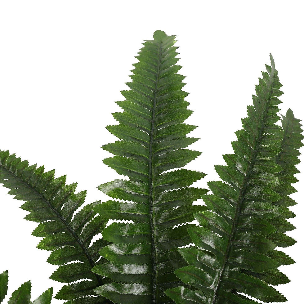 Thumbnail: Artificial Boston Fern: Potted Greenery (50cm H, 70cm W).