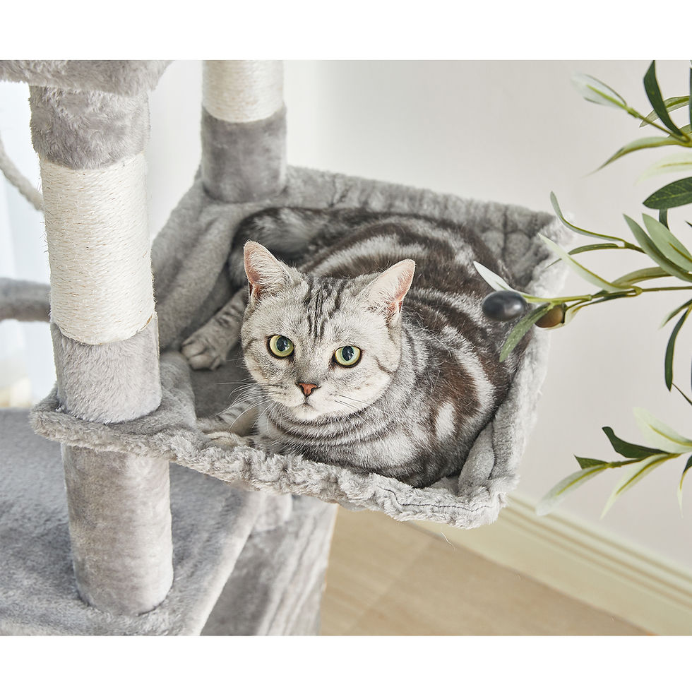 縮圖：55.9吋猫树多层猫塔, 覆盖有麻绳的抓挠柱