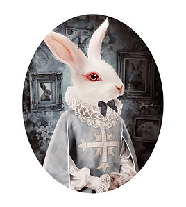 white_rabbit_by_autonoe-d4u0vi4-2022.jpg