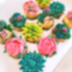 Succulents
