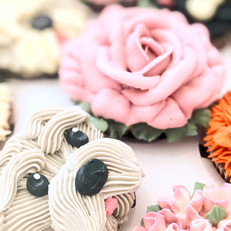 Dogs Flowers & Cats