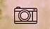 IMG_6425_edited.jpg