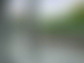 Revolutionary Convenience: Shop Quality Double Glazed Windows Online Now!