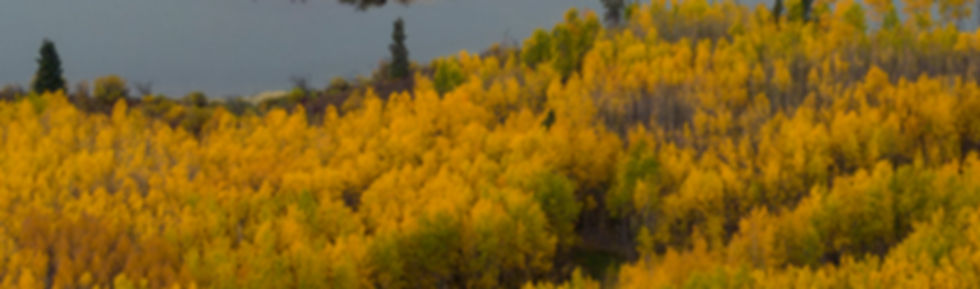 Camping Area - Drone.JPG