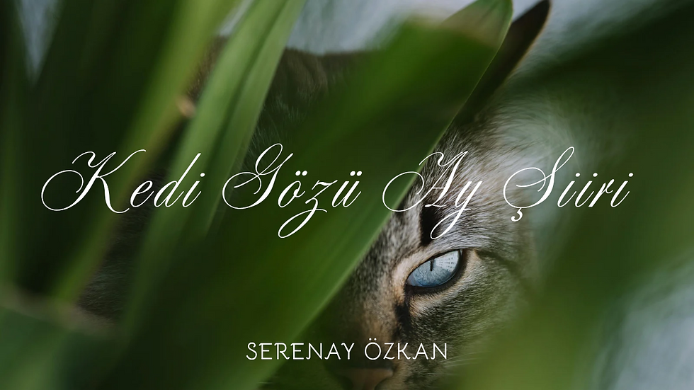 Kedi Gözü Ay Şiiri: Serenay Özkan&Viata