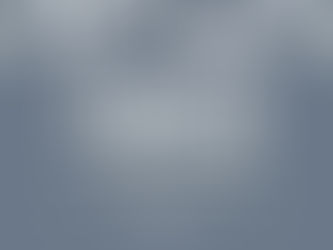 A insegurança alimentar em Quarto de Despejo