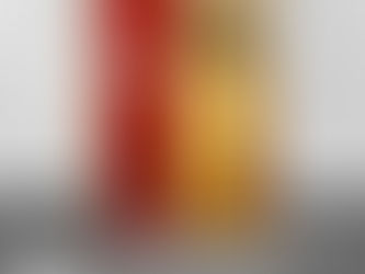 दिनदर्शिका २०२० (आक्षेप आणि वास्तव) १९ नोव्हेंबर २०२०