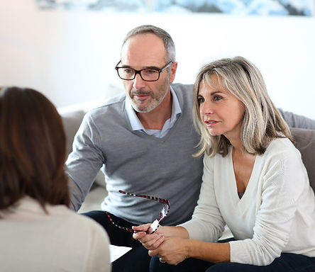 Consulting with clients to discuss the process