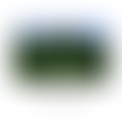 forêt tempérée Minecraft