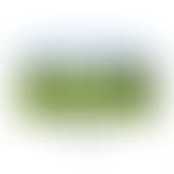plaine Minecraft