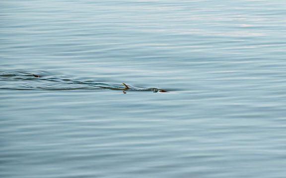 Permit-2025-08-05 11.06.00 144.jpg