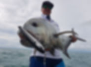 Seaforth Net Free Zone GT popping.jpg