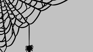 Cobwebs