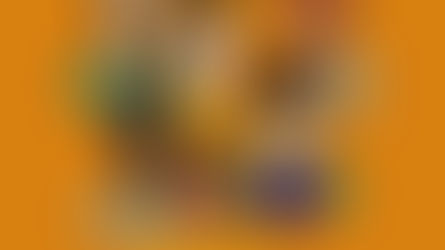 The Faces of Fortuna