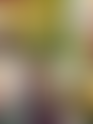 Quantos Santos tem a Igreja Católica?