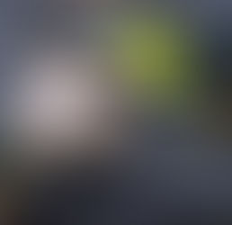 After third Taser death, California police officials reconsider 'less-lethal' weapon
