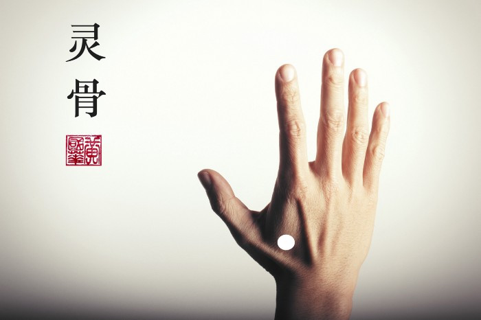 Ling Gu, Da Bai, linggu, dabai, acupuncture point, acupuncture