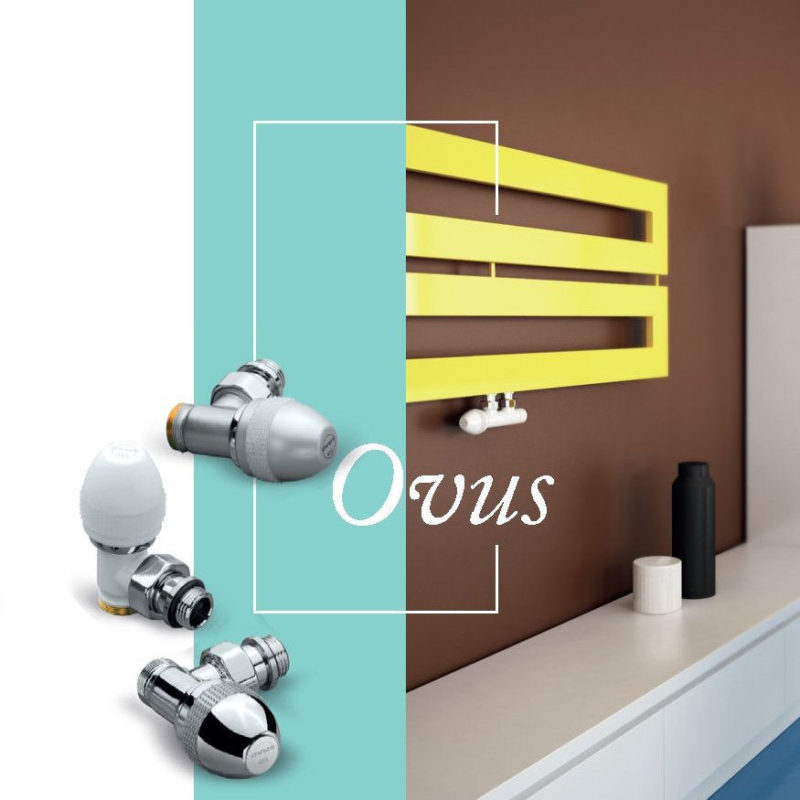 Ovus