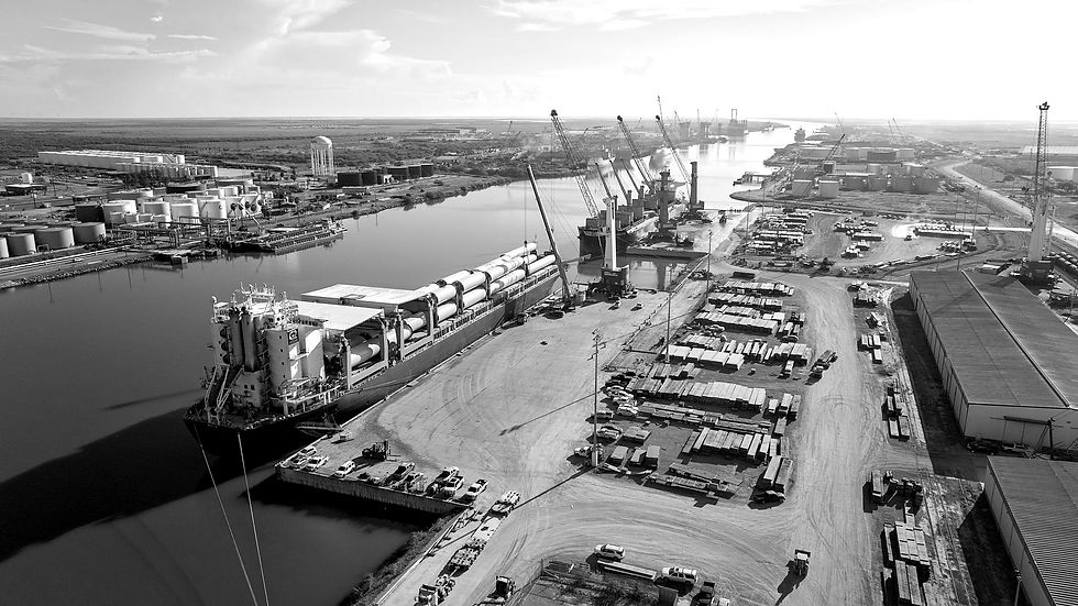 Port of Brownsville, Stevedoring Brownsville Texas