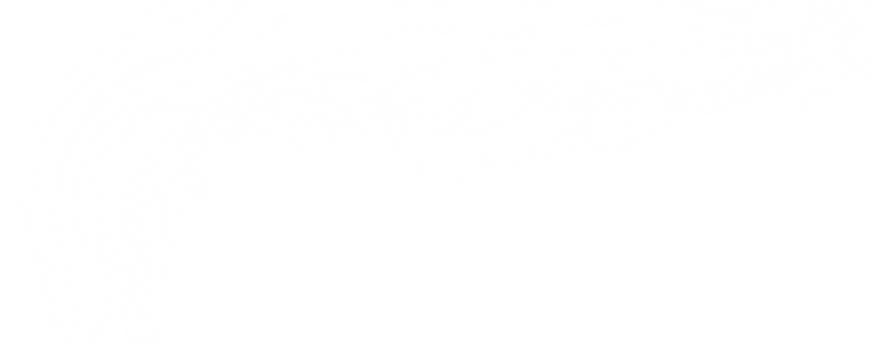 Gulf of Mexico bathymetric lines