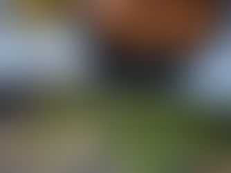 Restaurant le Cosy55