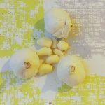 Ail_Lacuisinettedelaurette